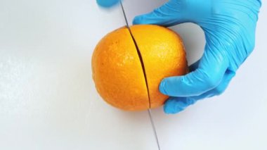 Beyaz mutfak tahtasına yakın kesilmiş olgun parlak turuncu. Şefin elleri mavi eldivenlerle taze meyve parçalarını büyük demir bıçakla dilimliyor. Profesyonel restoranda yemek pişirmek, malzemeleri hazırlamak. Üst alt görünüm