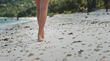 Bir kadın okyanusun yanındaki kumlu bir sahilde geziniyor ve dalgalar yavaşça yaklaşıyor. Huzurlu ve huzurlu bir manzara. Tepelerinde martılar uçuşuyor..