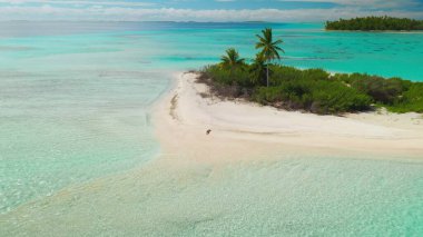 Beyaz sahilde turkuaz suyla yürüyen bir kadın, palmiye ağaçları, yemyeşil yemyeşil, ve berrak mavi gökyüzü, dingin bir tropik cennet yaratıyor.