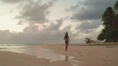 Kadın gün batımında bir yaban ördeği kumsalında yürüyor, tropik cennetin huzurlu güzelliğinin tadını çıkarıyor.