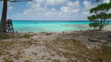 İki bisiklet, tropikal bir plajda yemyeşil ağaçların altında huzur içinde dinleniyor. Gökyüzünde kristal berrak bir göl ve kabarık bulutlar var. Cennette rahatlatıcı bir gün için mükemmel bir manzara yaratıyor.