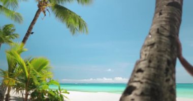 Filipinler 'deki Boracay Adası' nın güzel Beyaz Sahili 'nde bikini giyen bir kadın uzun bir palmiye ağacının yanında duruyor..