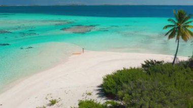 Polinezya tropikal adalarının berrak sularının zeminine kurulmuş, yemyeşil palmiye ağaçlarıyla kaplı el değmemiş, beyaz kumlu bir sahile kuş bakışı bir bakış..