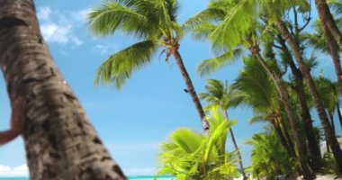 Filipinler 'deki Boracay Adası' nın kumlu sahillerinde, uzun bir palmiye ağacının yanında bikini giyen bir kadın duruyor..