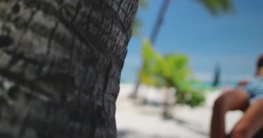 Genç bir kadın tropikal havanın keyfini çıkarıyor, parlak güneş ve mavi gökyüzünün altında, turkuaz suyla beyaz bir sahilde bir palmiye ağacına yaslanıyor. Rüya gibi bir tatil anı için mükemmel.