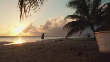 Palmiye yaprağı altında yürüyen egzotik bir kadın. Bikinili kadın günbatımının tadını çıkarıyor. Açık gökyüzü tropikal ada sahili manzarası. Yaz tatilinde açık hava seyahati. Romantik akşam sahnesi