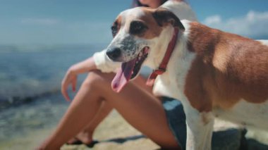 Şirin köpek plajda bayan sahibiyle rahatlar, yaklaş. Açık hava doğa deniz manzarasında evcil hayvan. Birlikte vakit geçirmek, arkadaşlık, yaz tatili konsepti. Sonsuza dek arkadaşız.