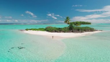 El sallayan bikinili turist kadın küçük tropikal ada plajlarını rahatlatıyor. Vahşi, dokunulmamış doğa, mercan resifi deniz manzarası, kristal su, palmiye ağaçları. Yaz tatili seyahati. Hava aracı uçuşu