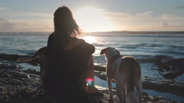 Kumsalda bir kadın oturuyor, bir köpeğin yanında. Güneşli bir günde ikisi de okyanusa bakıyor. Kadın rahat görünüyor, köpek ise meraklı ve tetikte..
