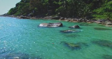Bir insan büyük bir kayanın üzerinde rahatça uzanır, güneşi rahatsız etmeden emer, berrak bir turkuaz suyla çevrili sakin bir tropikal plajda. Bereketli yeşillik resim arkaplanına ekliyor.