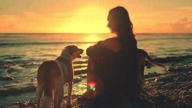 Kadın ve köpeği kumsalda huzurlu bir günbatımı anının tadını çıkarıyorlar. Güzellik ve evcil hayvanlar arasındaki bağı gözler önüne seriyorlar.