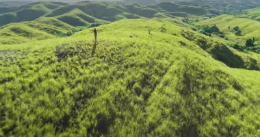 Endonezya 'nın Sumba Adası' ndaki doğanın güzelliğini kucaklayan genç bir kadın turistin havadan görünüşü, kollarını yuvarlanan yeşil tepelerin zeminine uzatmış.