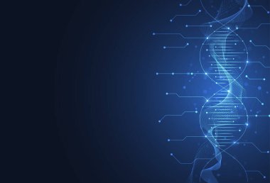 Soyut yapı molekülü bilim şablonu arka plan. Teknoloji çizgileri ve noktalar arası bağlantı. DNA, Tıbbi, Kimya içeren duvar kağıdı ya da afiş,