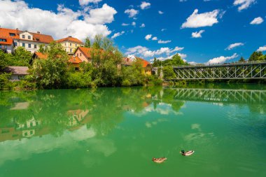 Slovenya 'nın Novo Mesto kentindeki Krka Nehri manzarası.