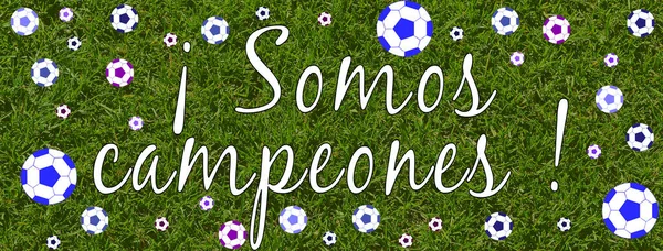 We are the champions written in Spanish in white font on a lawn background with a lot of soccer balls - \