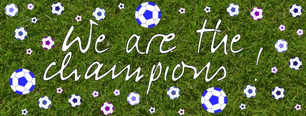 We are the champions written in English in white font on a lawn background with a lot of soccer balls