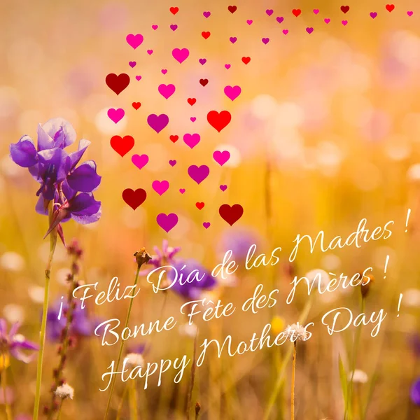 Square card for Mother\'s Day written in 3 languages (french, english, spanish) with flowers in a field and many multicolored hearts