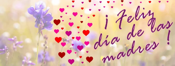 Щасливий День Матері Написаний Іспанською Мовою Фіолетовими Серцями Зображенням Квіткового — стокове фото