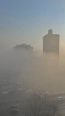 Bahar çiçekleri kiraz çiçekleri bahçe bahçeleri bahar çiçekleri şafak vakti beyaz çiçekler