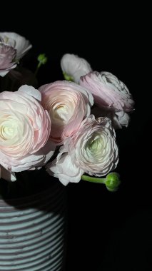 Güzel botanik fotoğrafı, doğal duvar kağıdı.