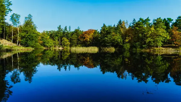 Sonbaharın başlangıcındaki ormanın göldeki yansıması.
