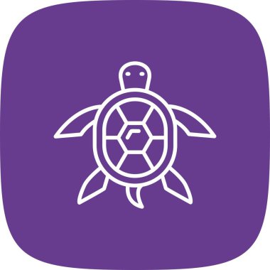 Turtle Creative Icons Desig