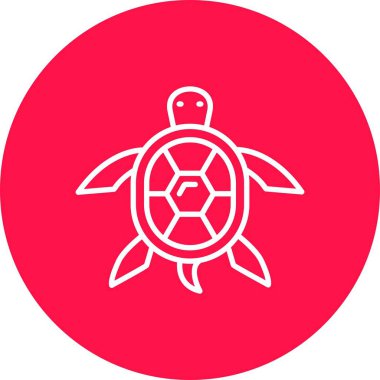 Turtle Creative Icons Desig