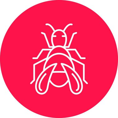Bug Creative Icons Desig