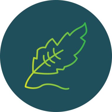 Feather Creative Icons Desig