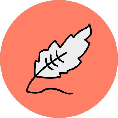 Feather Creative Icons Desig