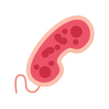 Bacteria Creative Icons Design