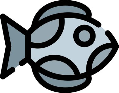 Deniz balığı simgesi renk ana hatları vektörü