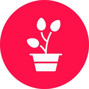 bitki vektörü simgesi modern illüstrasyon