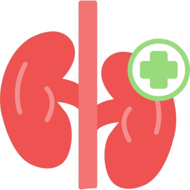 İnsan böbrek ikonu