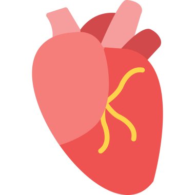 İnsan kalbi organ simgesi