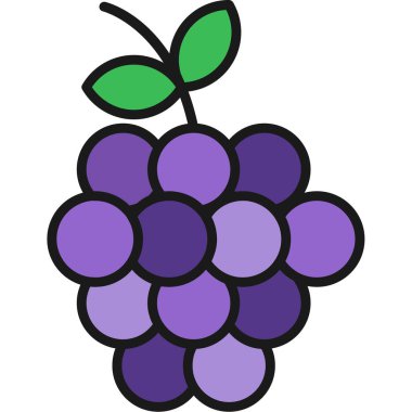 Taze böğürtlen, vektör, simge veya arkaplan çizimi.