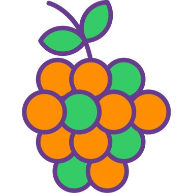 taze üzüm meyvesi, vektör simgesi