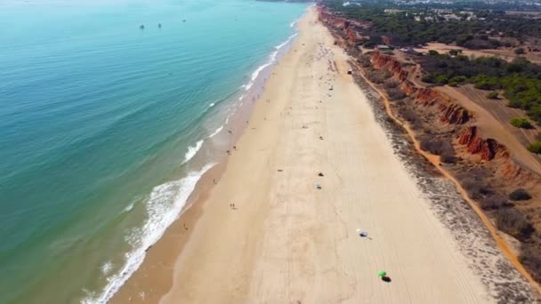 法里西亚海滩的无人驾驶飞机的观点 阿尔加维座落在葡萄牙南部 是一个著名的旅游胜地 处女金英里海滩 — 图库视频影像