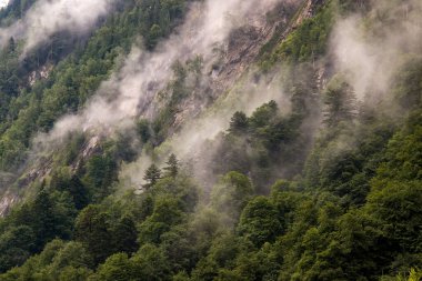 Kaprun barajlarının yakınındaki bulutlardaki güzel orman manzarası - Hohe Tauern 'deki Wasserfallboden ve Mooserboden dağ rezervleri. Avusturya, Avrupa. Yağmurlu ve sisli bir gün. 4k duvar kağıdı, HD arkaplan