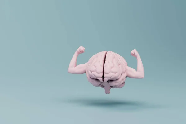 大脑是用来做运动的 双手上有肌肉 背景是绿绿的 3D渲染 — 图库照片