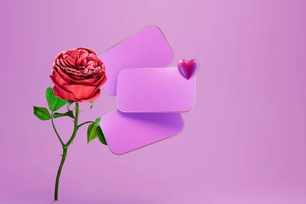 Concept Declaration Love Text Table Heart Rose Purple Background Render — Stock Photo, Image