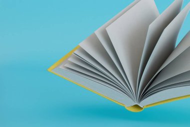 love of reading books. an open book on a blue background. 3D render.