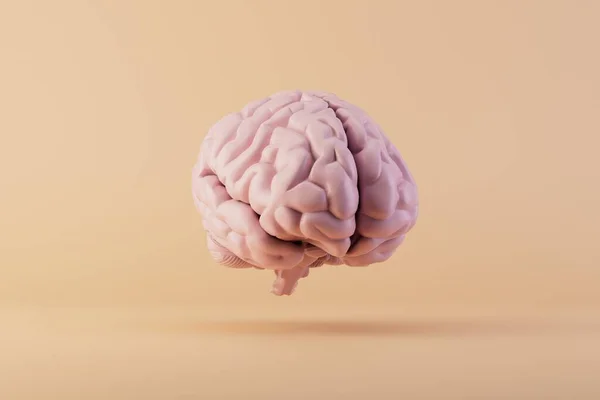 the concept of idea generation. brain on a pastel background. 3D render.