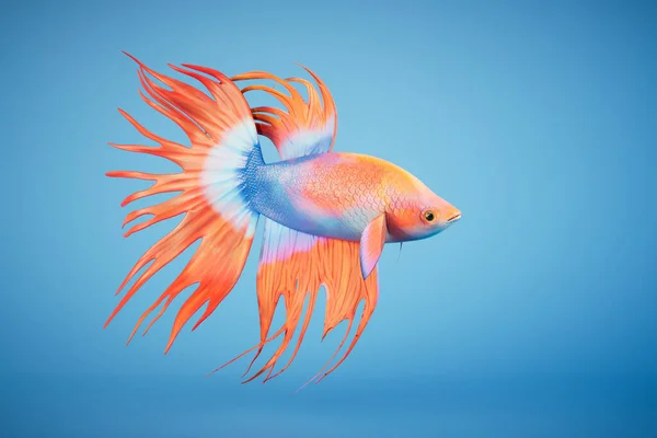 Goldfisch Isoliert Auf Blauem Hintergrund Darstellung — Stockfoto