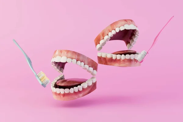 Formação Nas Regras Higiene Oral Mandíbulas Com Dentes Brancos Escovas — Fotografia de Stock