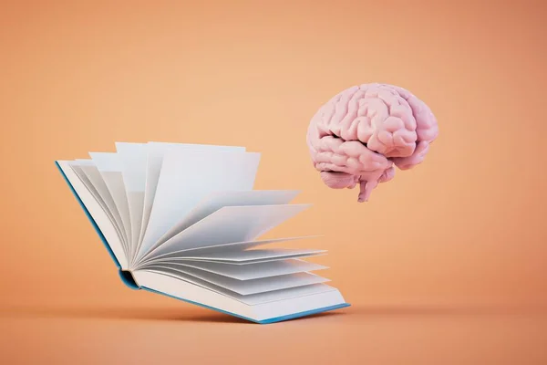 Het Begrip Levenslang Leren Een Open Boek Een Brein Een — Stockfoto