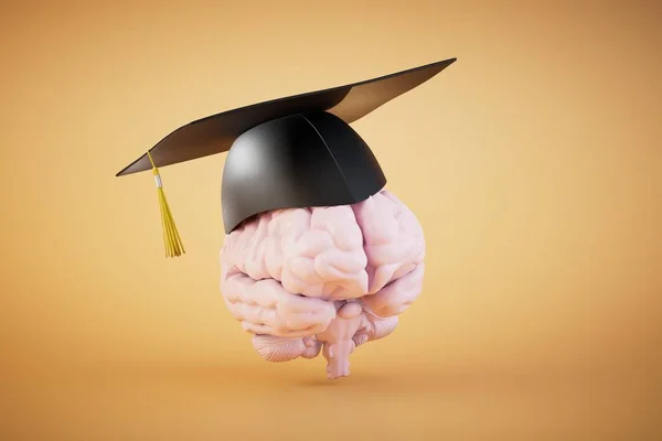 Concetto Istruzione Superiore Cervello Nel Berretto Del Padrone Uno Sfondo — Foto Stock