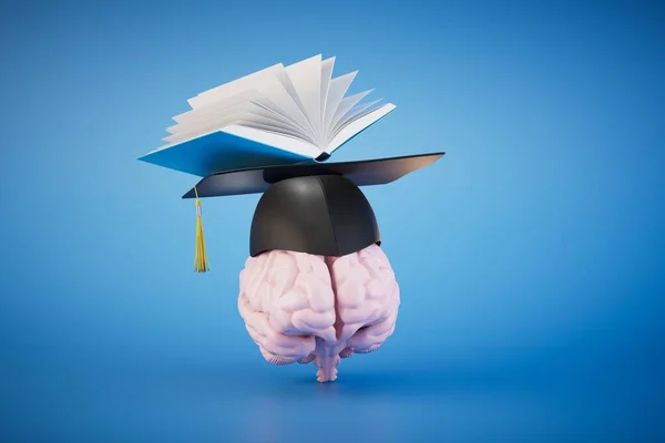Yüksek Öğrenim Mavi Arka Plandaki Açık Kitabın Yanındaki Beyinde Bir — Stok fotoğraf
