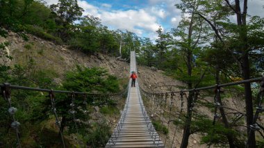 Sırt çantalı genç turist güneşli bir günde etrafı ağaçlarla çevrili asma köprüden geçerken görüldü.