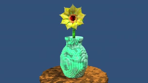 3つの黄色い花は ダークブルーの背景に対してピクセルスタイルの円形の木製のテーブルの上にターコイズ花瓶で成長しています アニメーション — ストック動画